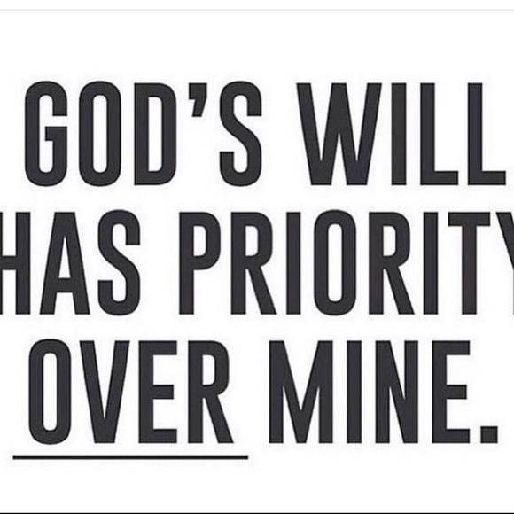 Meet your Posher, Sammie - Picture 1 of 1